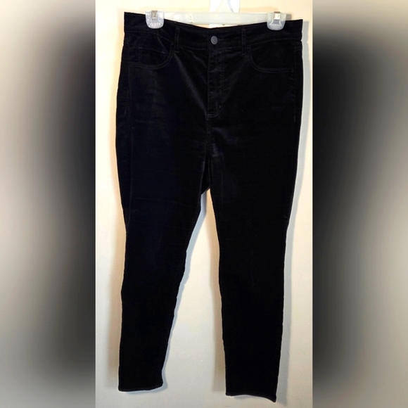LOFT Womans Velvet Feel Pants Size 10 - Picture 1 of 5